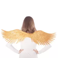 Arany szárnyak