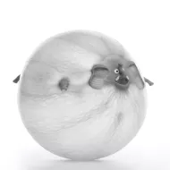 Állatok - felfújható labda