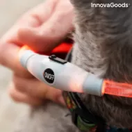 Petlux LED nyaköv háziállatoknak - InnovaGoods