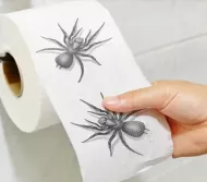 Toalettpapír pók motívummal